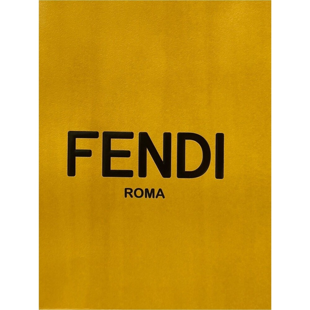 Authentic Fendi Roma Large Hard Sided Boutique Shopping Gift Bag w/ Ribbon - Picture 2 of 10